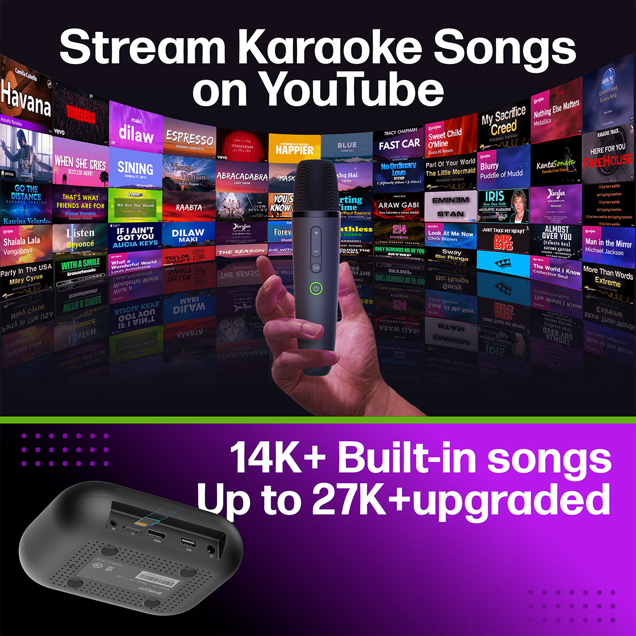 D' Maestro Karaoke
